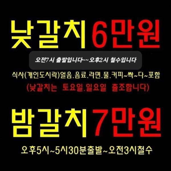 갈치, 삼포대교낚시, 낚시뚜