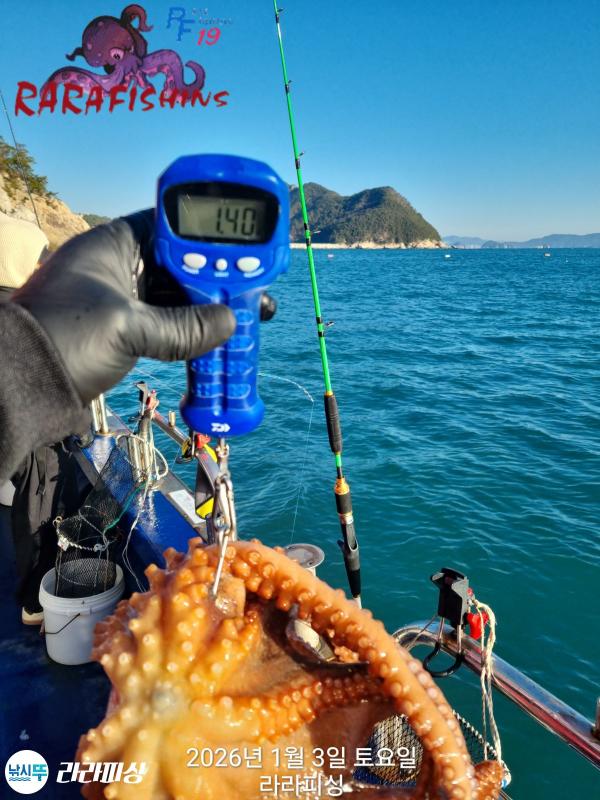 낚시뚜,돌문어,속천항(진해),라라피싱,낚시뚜5