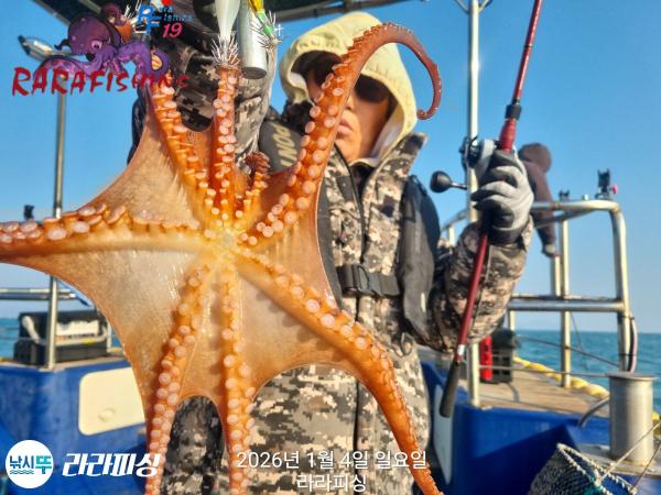 낚시뚜,돌문어,속천항(진해),라라피싱,낚시뚜4